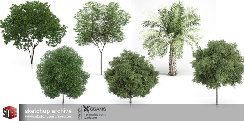 Cgaxis Trees-Free - Sketchup Archive